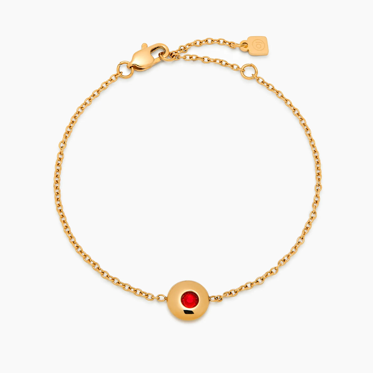 Petite Birthstone Charm Bracelet
