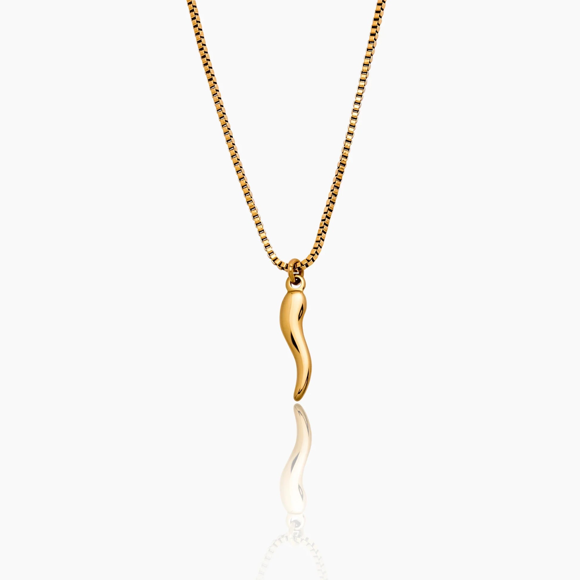Horn Charm Necklace